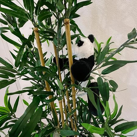 Centro Storico Spina Green House Piza Zewnętrze zdjęcie